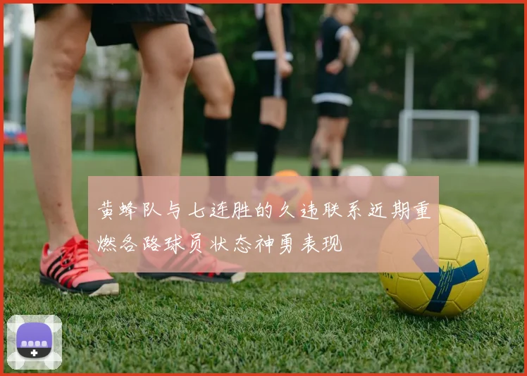 黄蜂队与七连胜的久违联系近期重燃各路球员状态神勇表现